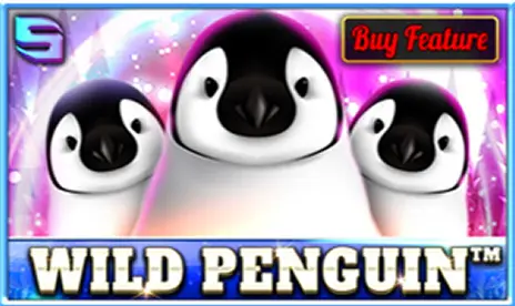 Wild Penguin Wild Penguin